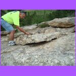 Playing With Ground Squirrell.jpg